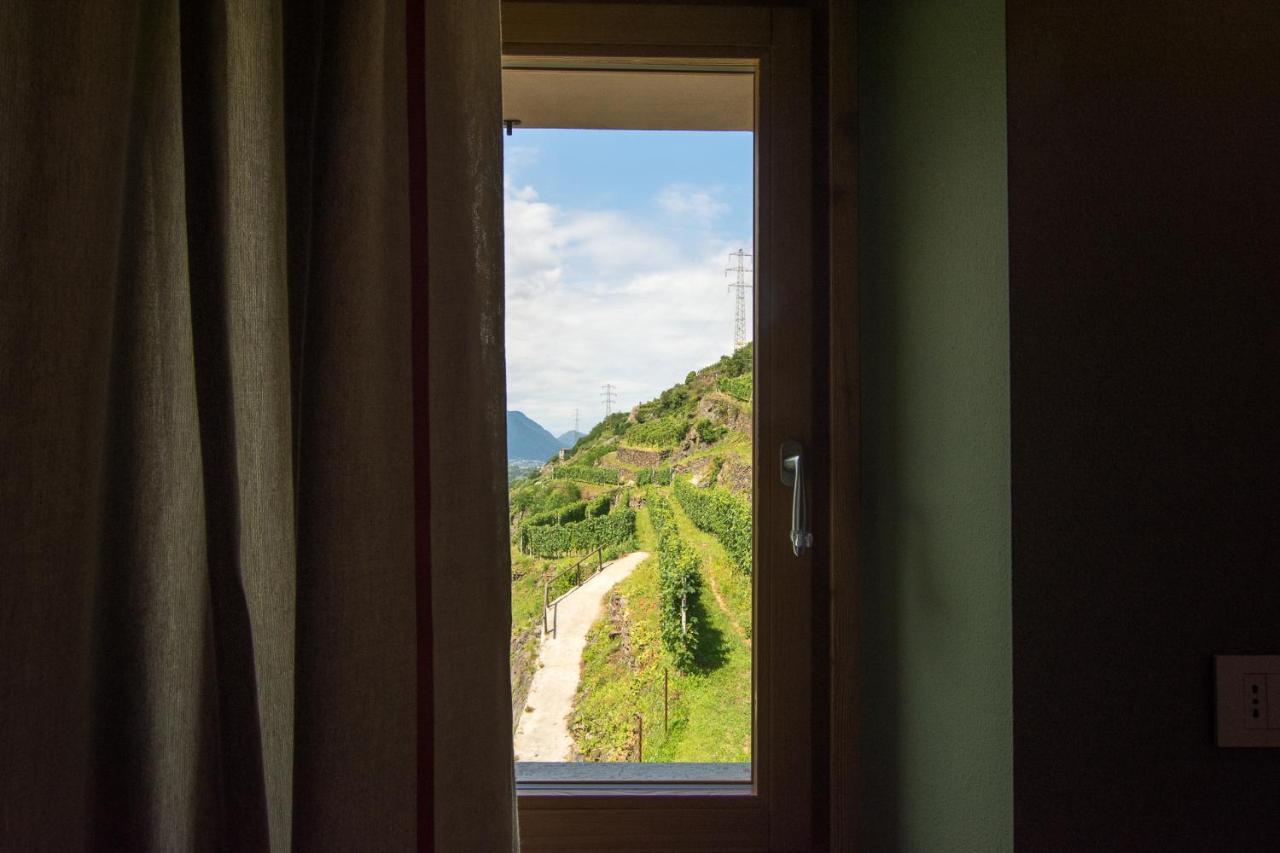 Ca' Barroni Agriresort ซอนดริโอ ภายนอก รูปภาพ